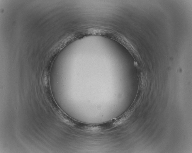 X0000084040313200703022155