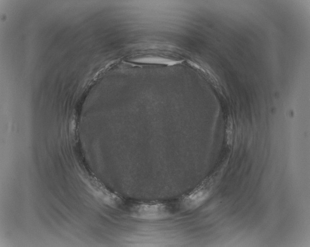 X0000084040314200703022155