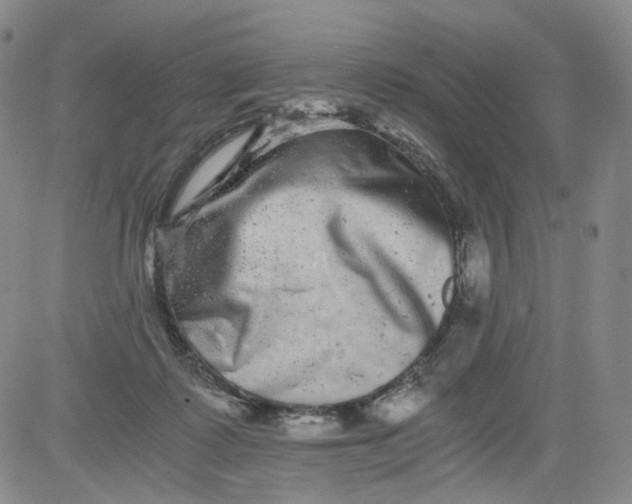 X0000084040315200703022155