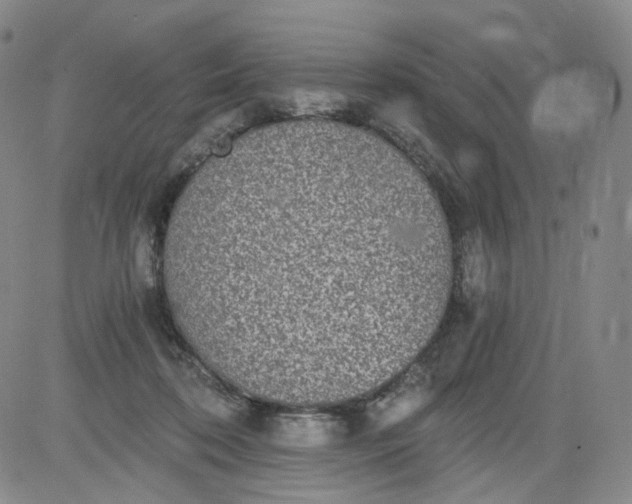 X0000084040316200703022155