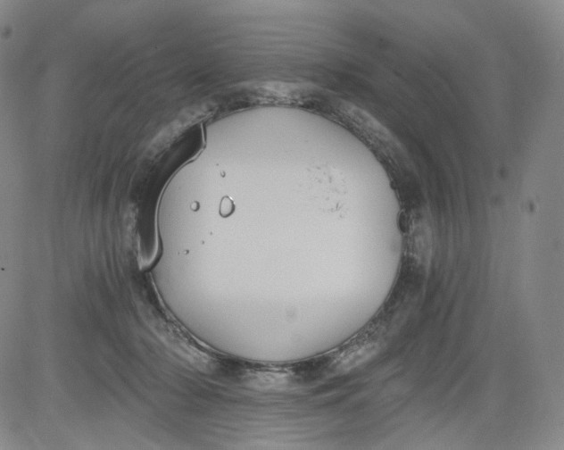 X0000084040318200703022155