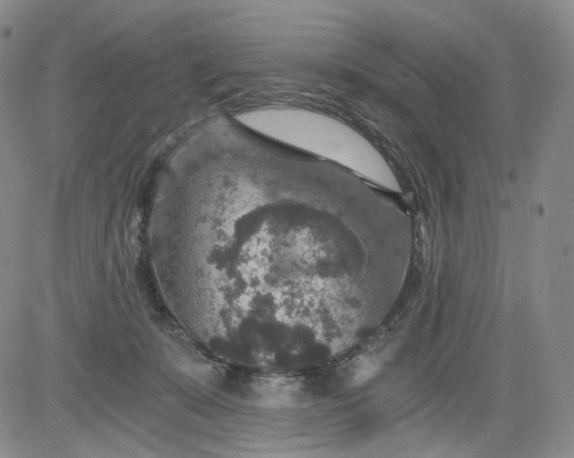 X0000084040319200703022155