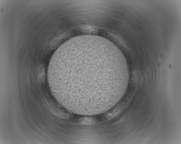 X0000084040320200703022155