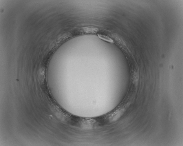 X0000084040321200703022155