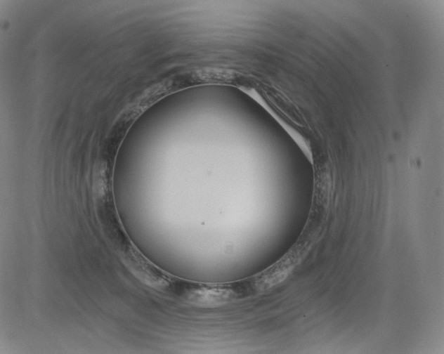 X0000084040323200703022155