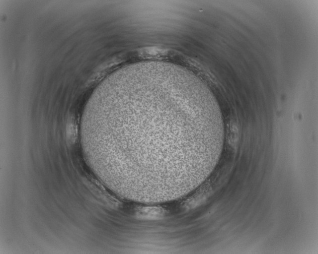 X0000084040324200703022155