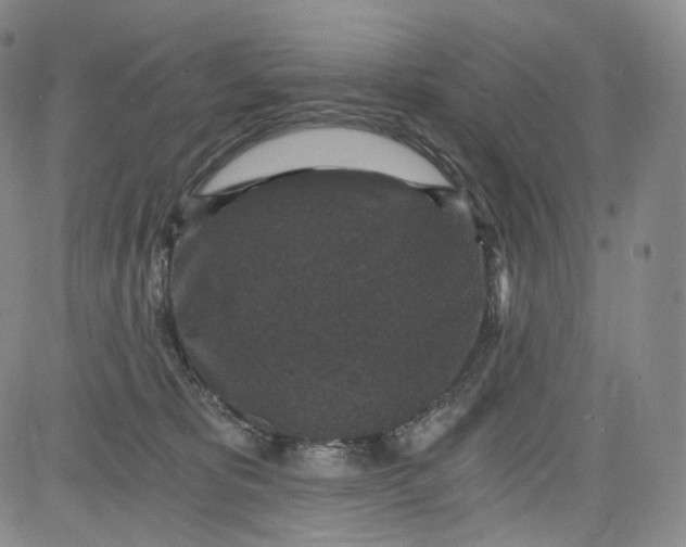 X0000084040325200703022155