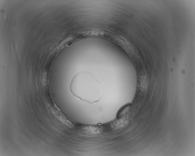 X0000084040326200703022155