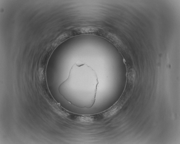 X0000084040327200703022155