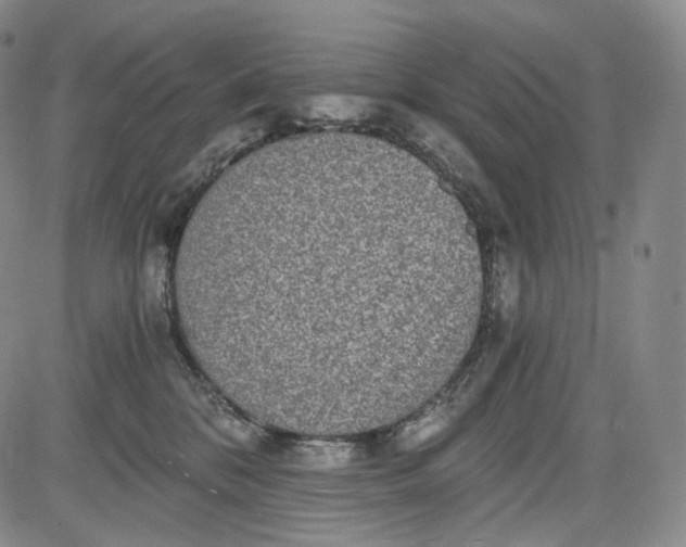 X0000084040328200703022155