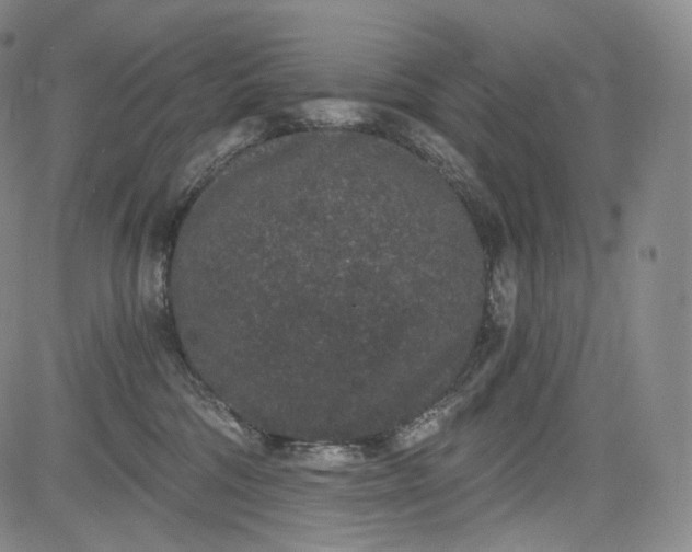 X0000084040330200703022155