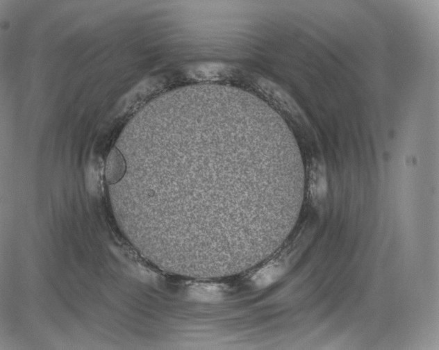 X0000084040332200703022155