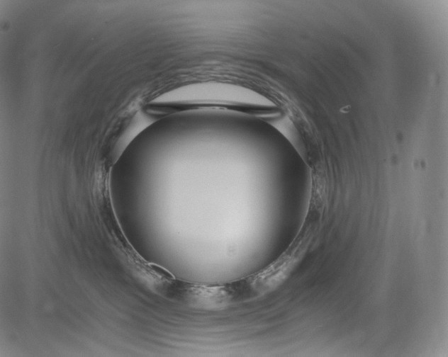 X0000084040333200703022155