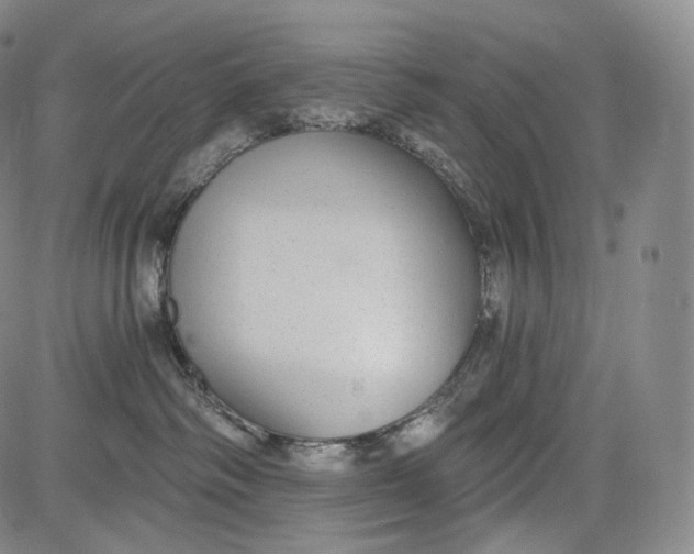 X0000084040334200703022155