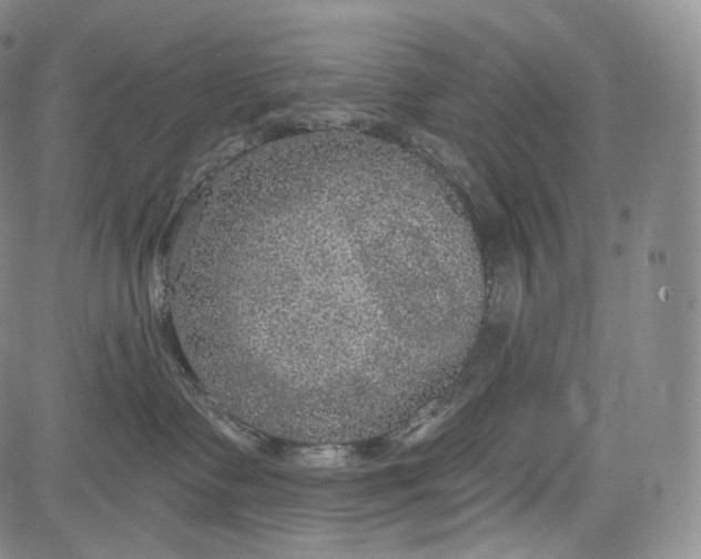 X0000084040335200703022155