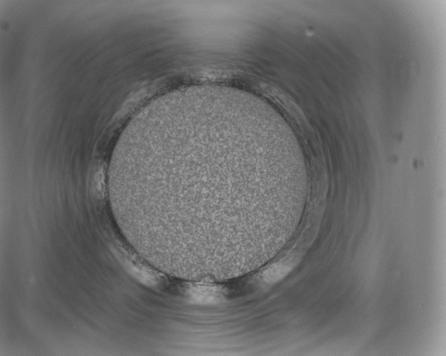 X0000084040336200703022155