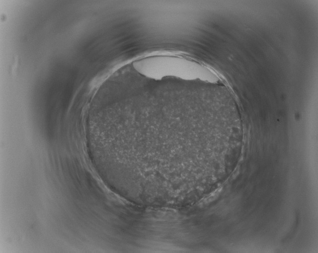 X0000084040337200703022154