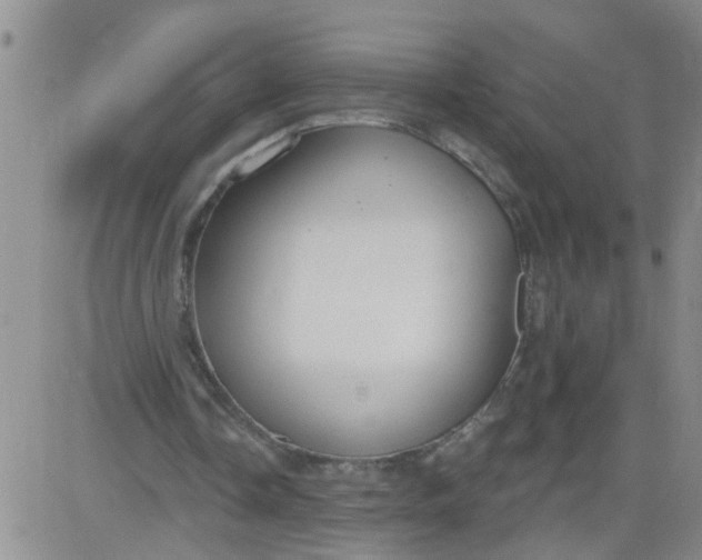 X0000084040338200703022154