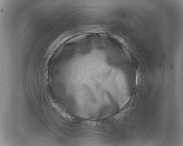 X0000084040339200703022154