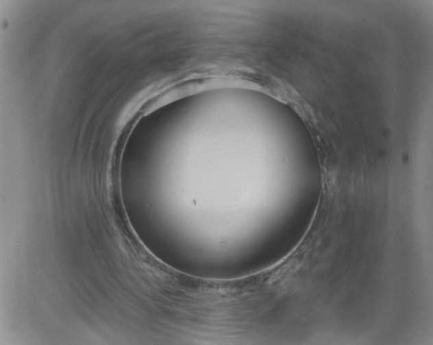 X0000084040340200703022154