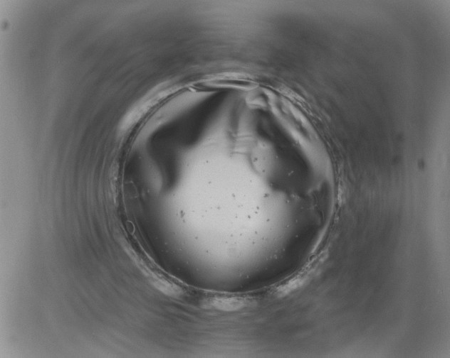 X0000084040341200703022154