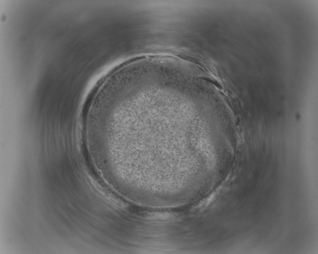 X0000084040342200703022154