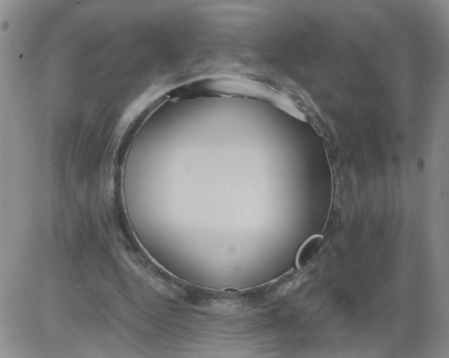 X0000084040344200703022154