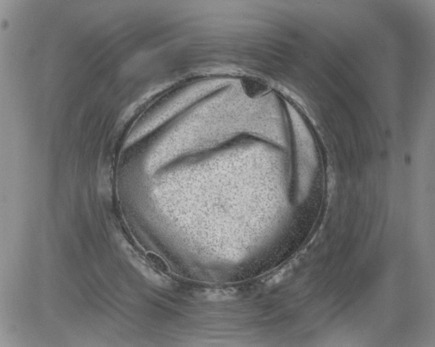 X0000084040345200703022154