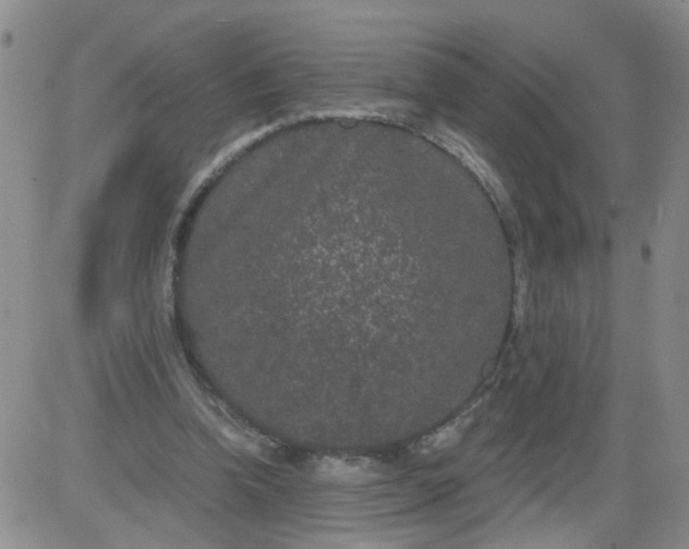 X0000084040346200703022154