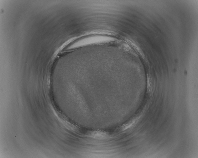 X0000084040348200703022154