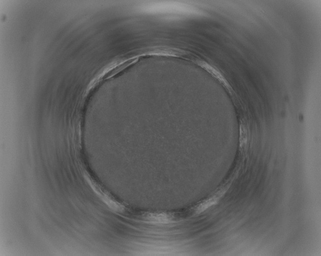 X0000084040349200703022154