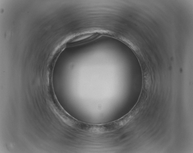 X0000084040350200703022154