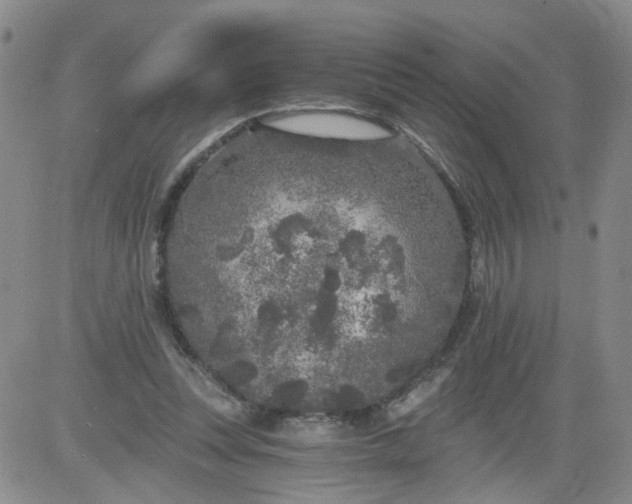 X0000084040351200703022154