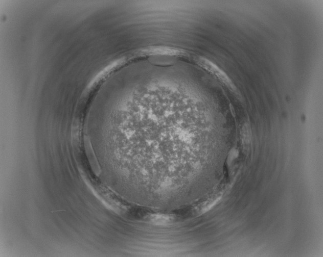 X0000084040352200703022154