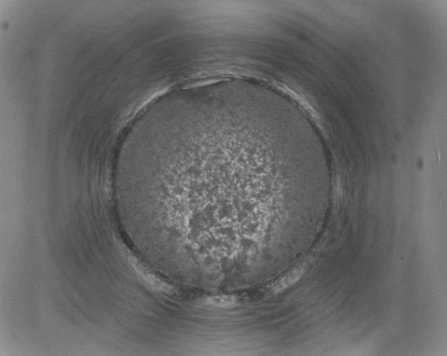 X0000084040353200703022155