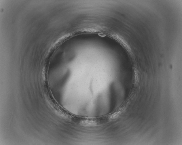 X0000084040354200703022155