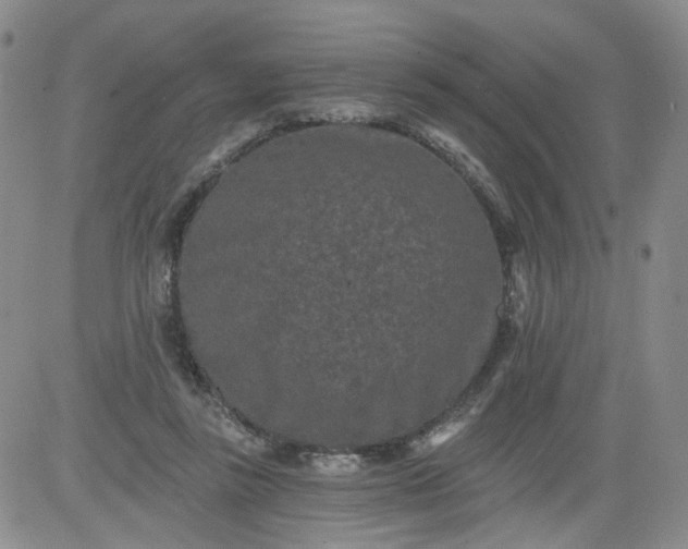 X0000084040355200703022155