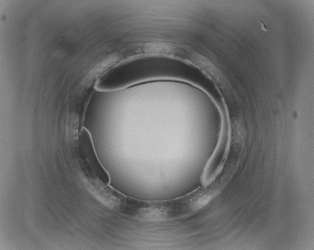 X0000084040356200703022155