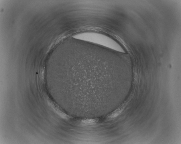 X0000084040357200703022155