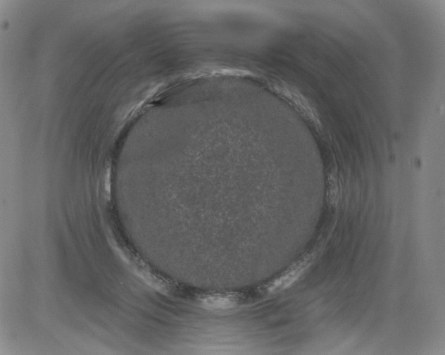 X0000084040358200703022155