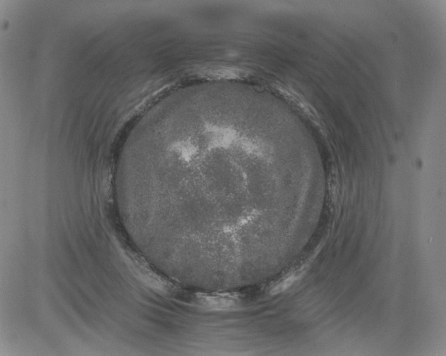 X0000084040359200703022155