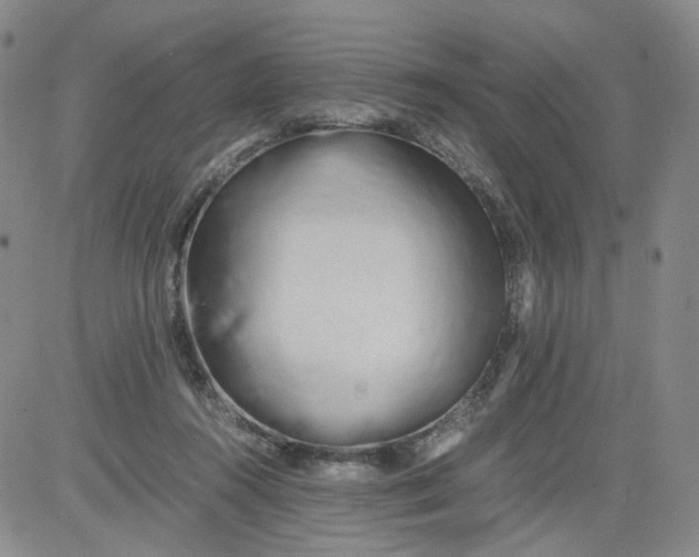 X0000084040360200703022155