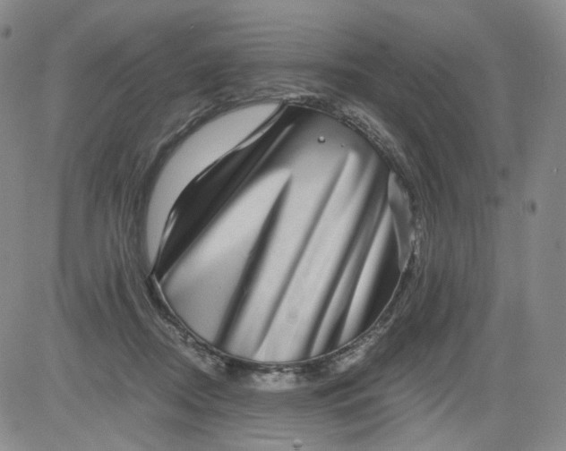 X0000084040362200703022155