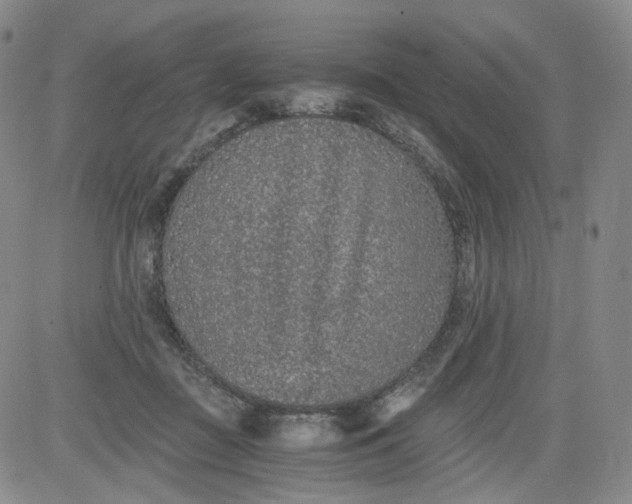 X0000084040363200703022155