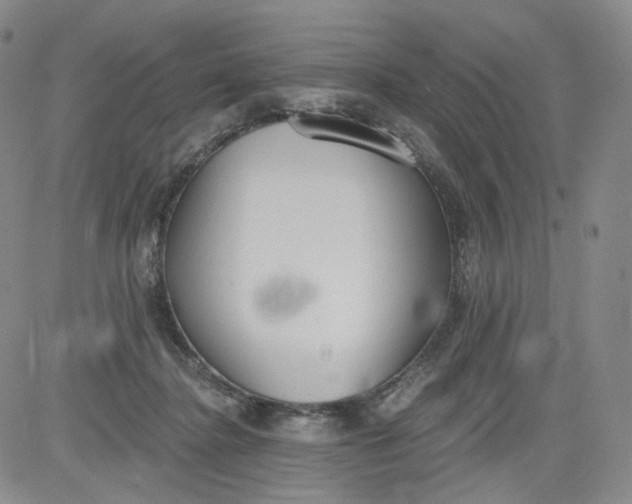 X0000084040364200703022155