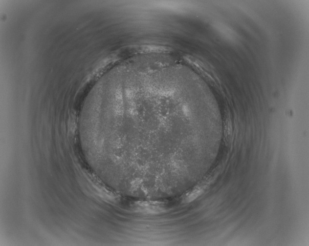 X0000084040367200703022155