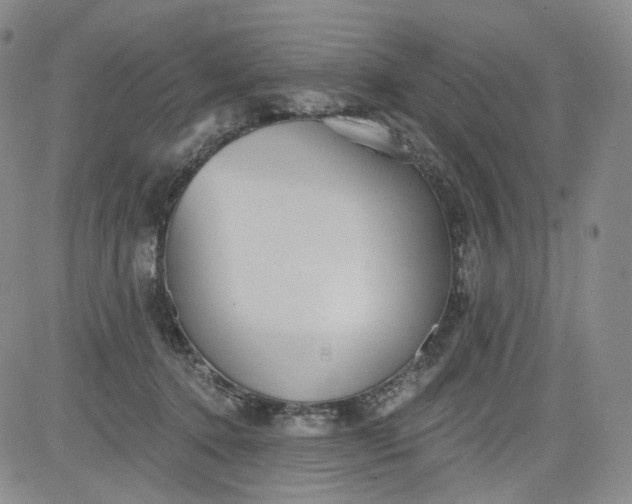 X0000084040368200703022155