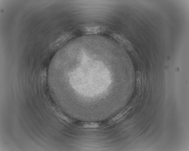 X0000084040369200703022155