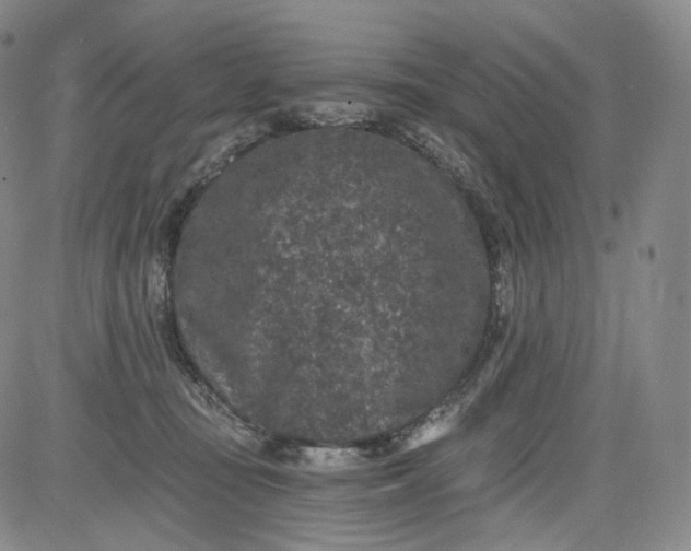 X0000084040371200703022155