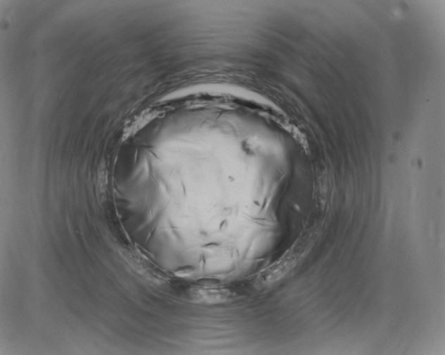 X0000084040372200703022155